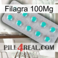 Filagra 100Mg 28